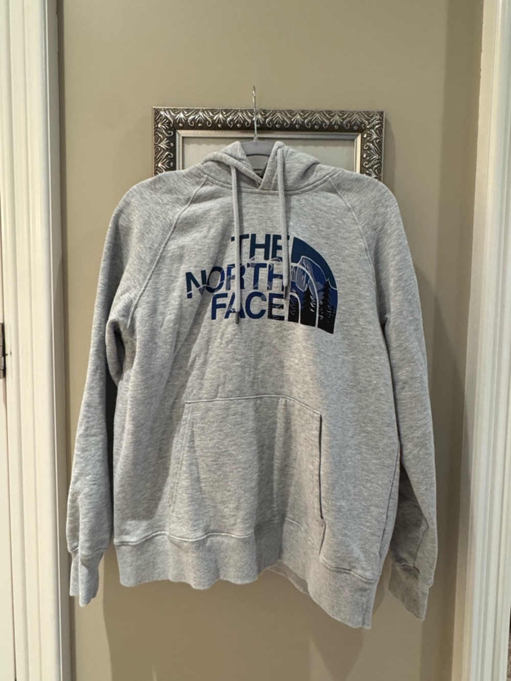 The North Face Light Gray Hoodie with Navy Logo